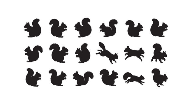 Collection of twenty squirrel silhouettes in various poses and actions, vector illustration.