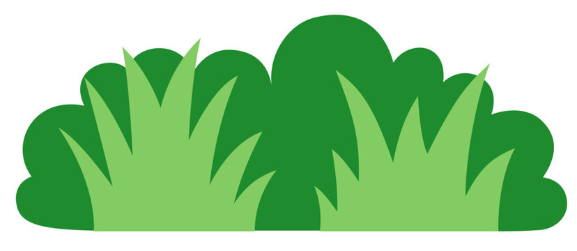 Garden green bush. Green bush and grass element.