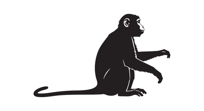 Monkey silhouette isolated on white background, black primate sitting profile, animal vector illustration.