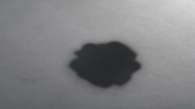 A dark, amorphous blob with a slightly irregular edge, set against a muted, textured background.