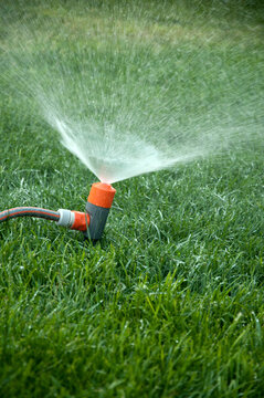 Garden sprinkler watering green lawn irrigation system grass summer watering
