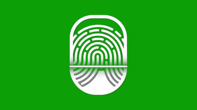 A clean, glowing white fingerprint biometric scanner icon with a scanning line animation, centered against a chroma key green screen background. This digital security asset is ideal for UI/UX interfac
