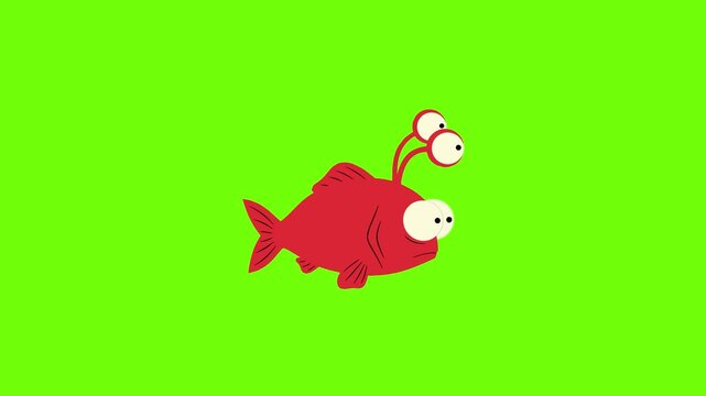 A humorous 2D animated red fish inspired by an anglerfish, featuring large expressive eyes and a goofy look. Perfect for quirky marine animations and kids' comedy clips on a green screen.