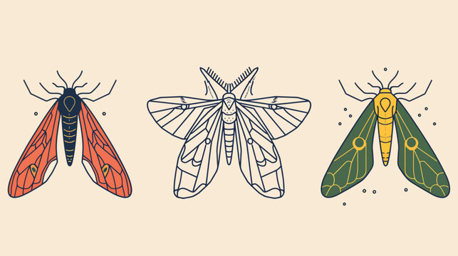 Three stylized moth illustrations, one colored, one in outline, on light background