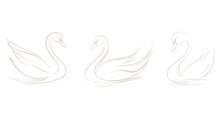 Fototapeta premium Three minimalist line art illustrations of swans, depicted in a brushstroke-like style