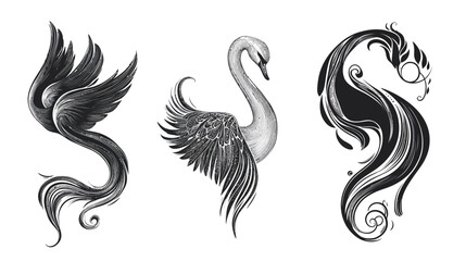 Fototapeta premium Three stylized grayscale illustrations of birds and floral elements on a white background