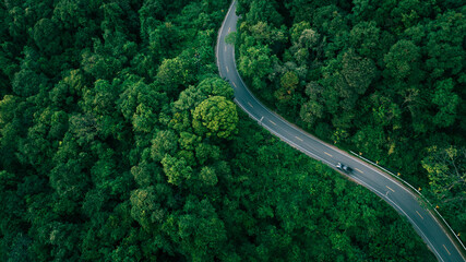 Obraz premium Scenic winding road in forest, suitable for green business concepts, climate responsibility, sustainable investment planning, and eco-conscious corporate messaging.