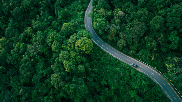 Scenic winding road in forest, suitable for green business concepts, climate responsibility, sustainable investment planning, and eco-conscious corporate messaging.