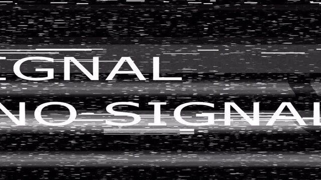 No Signal VHS Glitch Overlay with TV Static Noise and Analog Distortion Effect