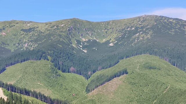 Beautiful mountain landscape covered with lush green pine forests and meadows under a clear blue sky. A slow zoom reveals the vastness of the range in Demanovska Dolina, Slovakia