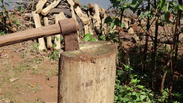 Traditional way of using the axe to break the wooden log. Axe splitting the wood into two pieces