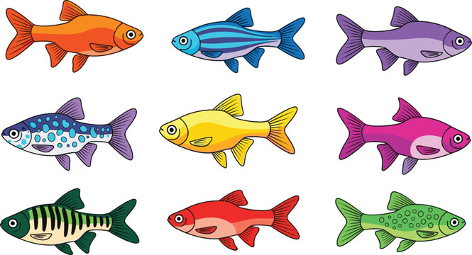 Colorful Tropical Aquarium Fish Collection with Various Barb and Danio Species