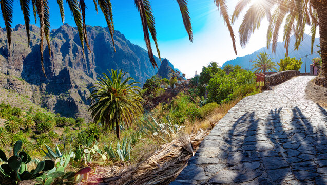 Sendero de monta&ntilde;a en Masca, Tenerife, Islas Canarias, Espa&ntilde;a. Desfiladero con vegetaci&oacute;n tropical y luz solar que crea una atm&oacute;sfera de viaje espectacular y aventurera. Sendero empedrado con palmeras