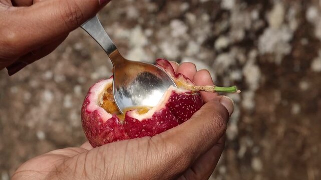 Stainless steel spoon scooping the juice and seeds from a passion fruit. Eating the passion fruit