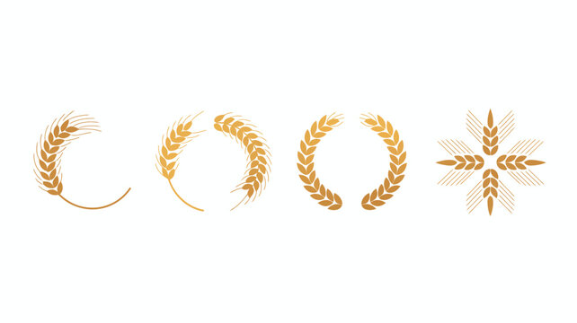 A collection of golden wheat wreaths and sprigs are arranged against a stark white background showcasing various artistic styles high quality professional detailed modern elegant stylish