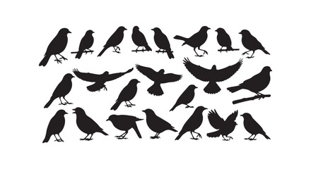 Obraz premium Assorted bird silhouettes in flight and perched on branches for avian life and nature illustration.