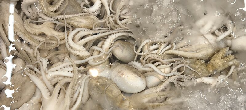 Fresh squid at the seafood market.