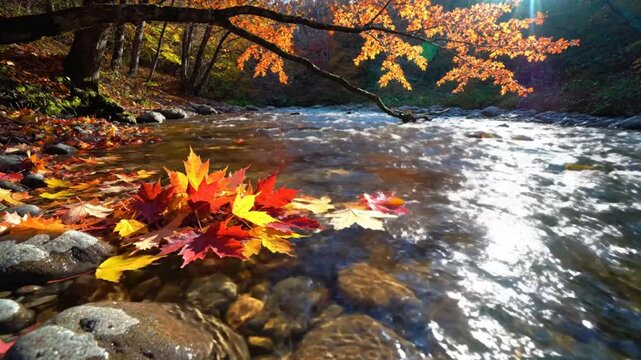 Scenic Autumn Landscape: Vibrant Maple Leaves Nestled Along a Flowing River with Stunning Sunlight and Trees