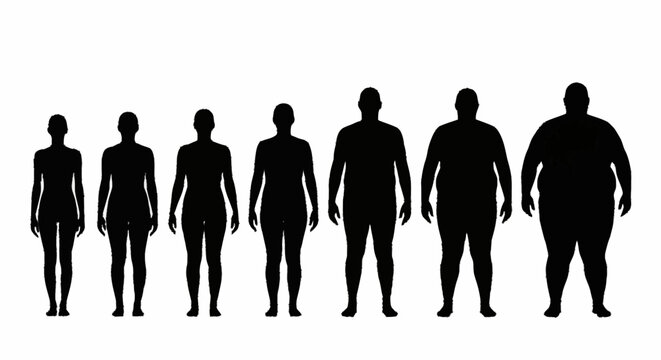Progression of Body Weight - A Visual Representation of Body Mass Index.