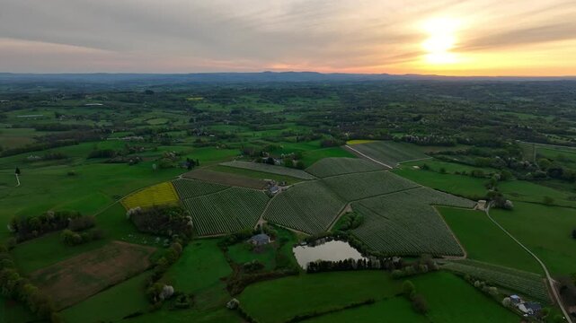 Aerial sunset view of apple orchard in Limousin France with rows of blooming trees farm buildings pond and rolling green hills under golden sky