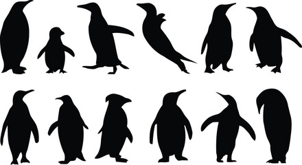 Penguin silhouettes vector collection set of cute arctic penguin birds illustration in winter snow isolated black and white design © Juned
