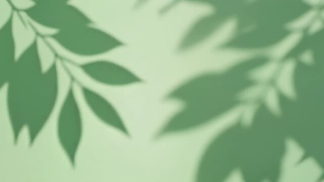 Background with soft green leaf shadows on minimalist wall