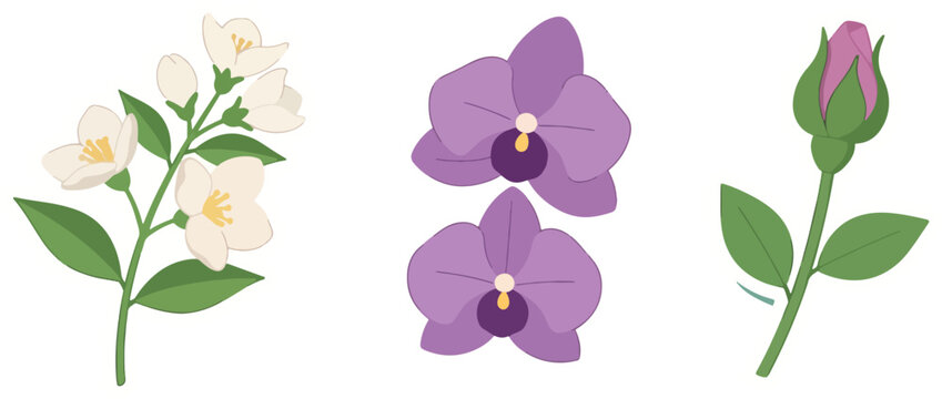 Jasmine, orchid, and rosebud sticker set isolated on a transparent background, vector illustration.