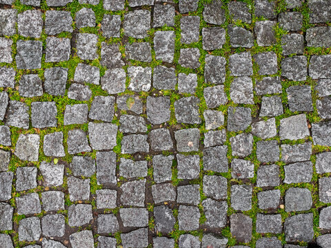 Old cobblestone pavement with green moss and grass. Top view of granite stone road texture background