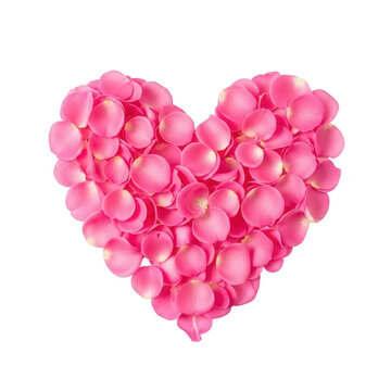 Heart shape made of pink rose petals isolated on transparent background