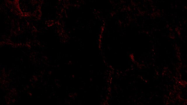 Grunge Scratches Texture Overlay Dynamic Dark Red Motion Background