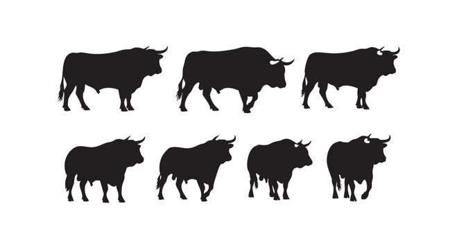Seven black bull silhouettes in different standing and walking poses isolated on white background livestock animal design.