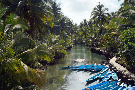 Scenic view of Maasin River in Siargao, Philippines, with traditional blue wooden boats docked along a wooden boardwalk surrounded by lush tropical palm trees.      