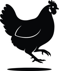Fototapeta premium Silhouette of a Chicken Walking with One Leg Raised.