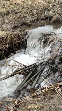 a little river flowing through a beaver dam