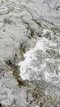 reflections of trees in running water, slow motion