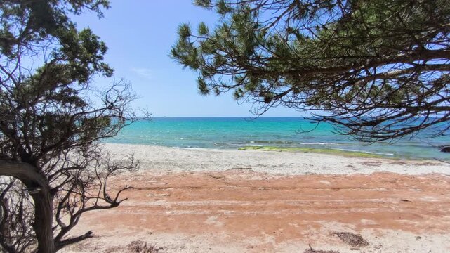 View of Maria Pia beach framed by juniper branches with turquoise sea and natural coastal landscape