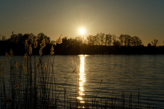 Schweriner See sunset light reflecting on reeds and water