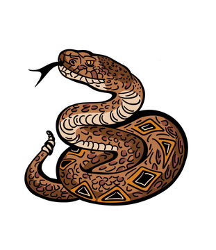 Vector hand-drawn illustration of a snake