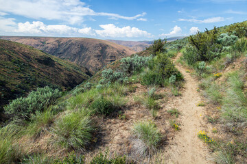 Fototapeta premium Looking Back North On Umtanum Ridge