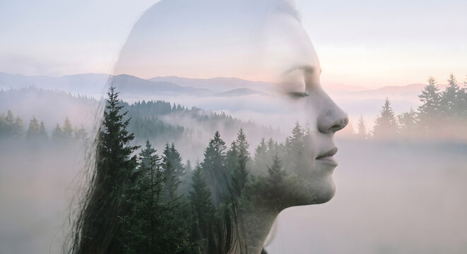 Double exposure of woman's profile overlaid with misty forest landscape at sunrise pine trees woman s head silhouette