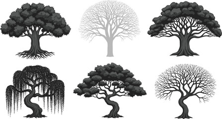 Beautiful variety of diverse tree silhouettes including oak willow and bonsai styles for landscape design and environment. © Emongrapic