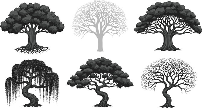 Beautiful variety of diverse tree silhouettes including oak willow and bonsai styles for landscape design and environment.