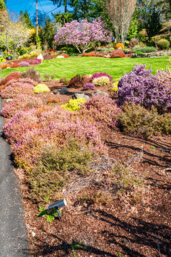 Front Yard Garden 3