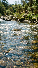 Fototapeta premium Serene River Flowing Through Forest