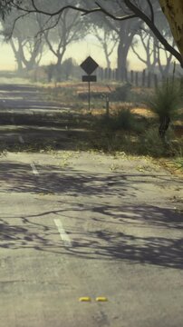 Early morning light gently filters through foggy trees lining an isolated road. Nature awakens slowly as shadows dance on the pavement, creating a serene, peaceful atmosphere.