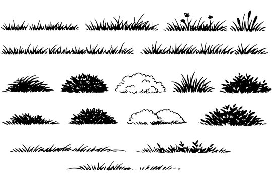 Hand Drawn Foliage Grass Set Simple Line Art Illustration