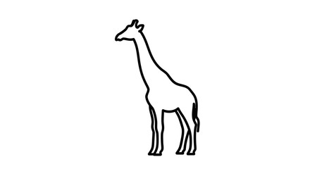 Fototapeta premium Simple black and white outline drawing of a tall giraffe standing in profile on a plain background.