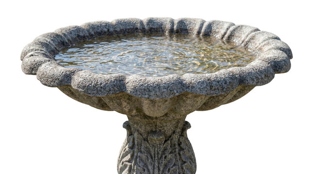 Stone bird bath filled with clear water.