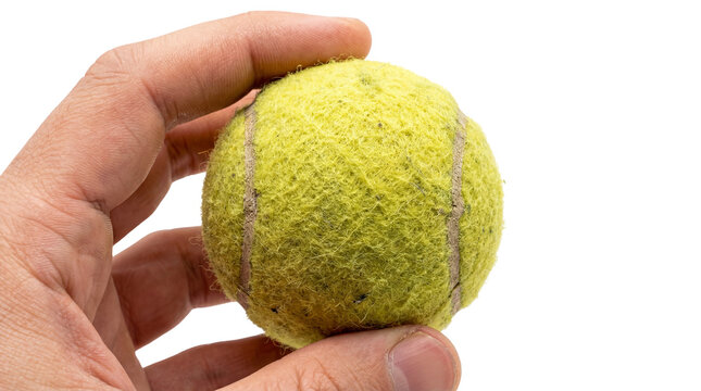 Hand Holding Tennis Ball Close Up Detail.
