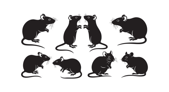 Set of mouse and rat animal silhouettes in various poses, collection of rodents for design element on white background.